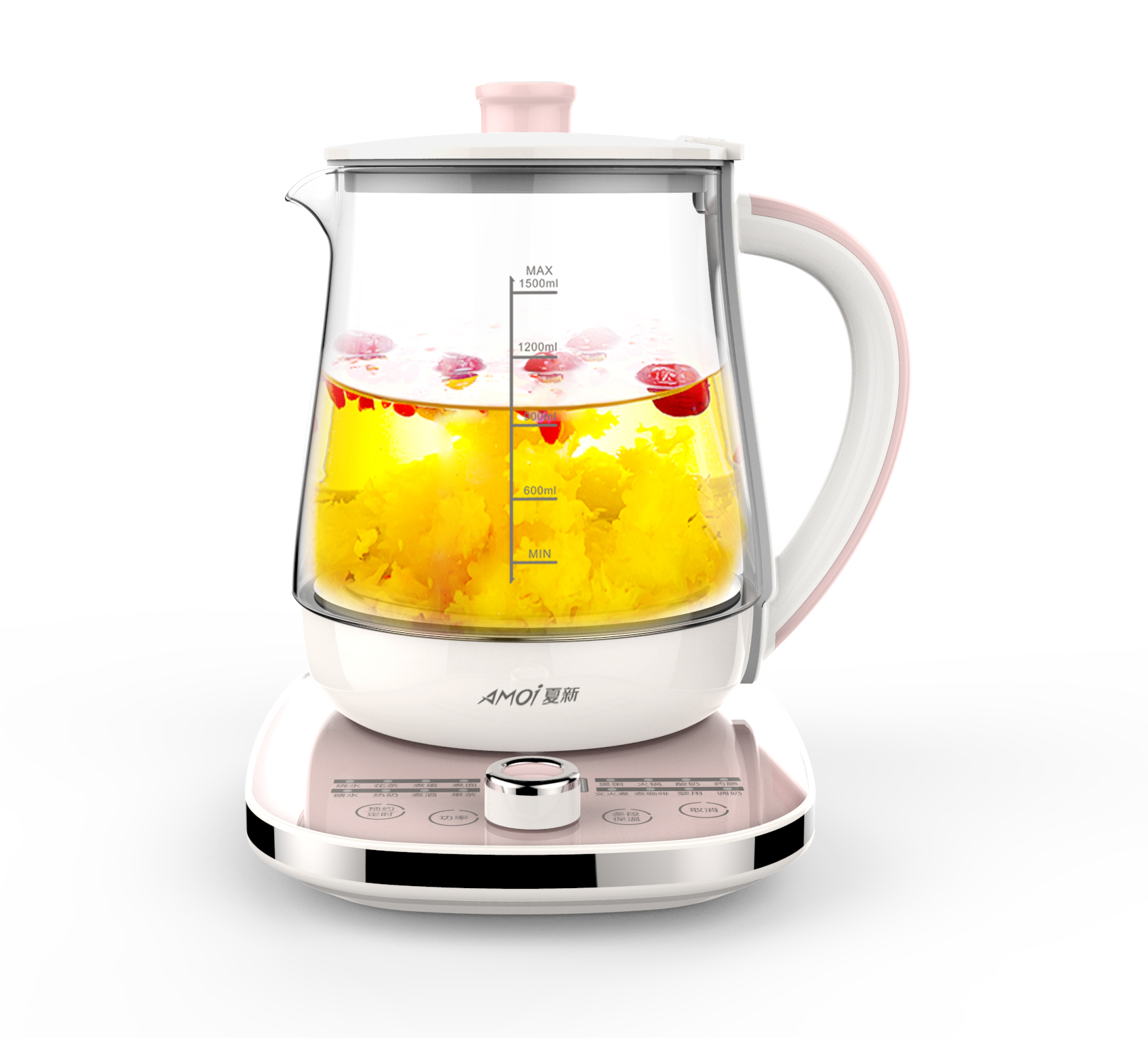 養(yǎng)生壺 (2)